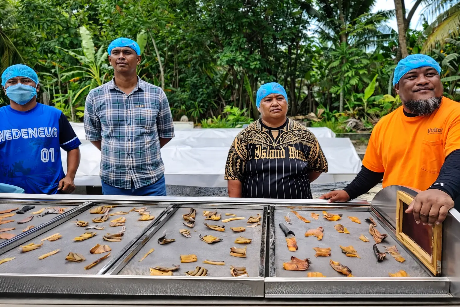 Solar Energy Processing